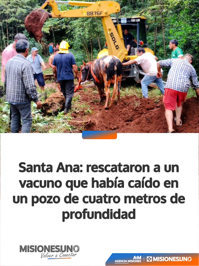 Santa Ana: rescataron a un vacuno que había caído en un pozo de cuatro metros de profundidad