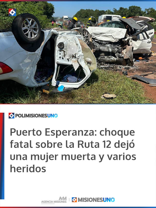 Puerto Esperanza: choque fatal sobre la Ruta 12 dejó una mujer muerta y varios heridos