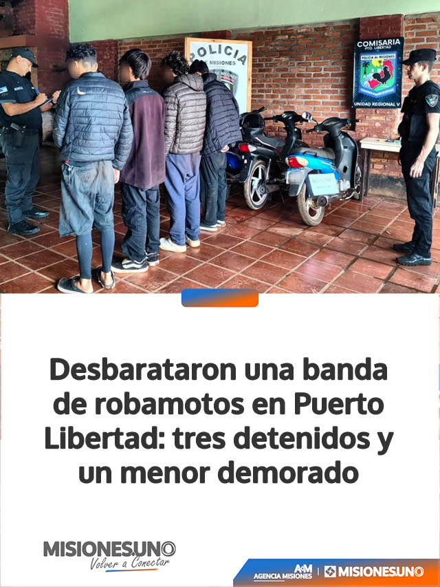 Desbarataron una banda de robamotos en Puerto Libertad: tres detenidos y un menor demorado