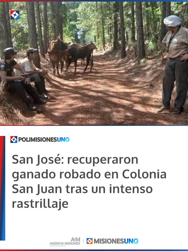San José: recuperaron ganado robado en Colonia San Juan tras un intenso rastrillaje