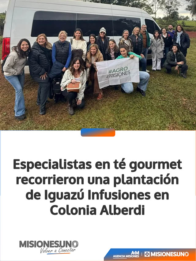 Especialistas en té gourmet recorrieron una plantación de Iguazú Infusiones en Colonia Alberdi