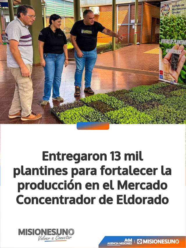 Entregaron 13 mil plantines para fortalecer la producción en el Mercado Concentrador de Eldorado