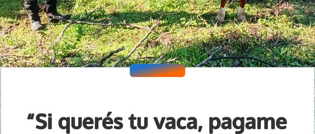 “Si querés tu vaca, pagame 0 mil”: recuperaron el animal tras una denuncia en Almafuerte