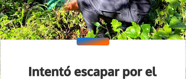Intentó escapar por el monte al ver a la Policía y terminó detenido en Eldorado