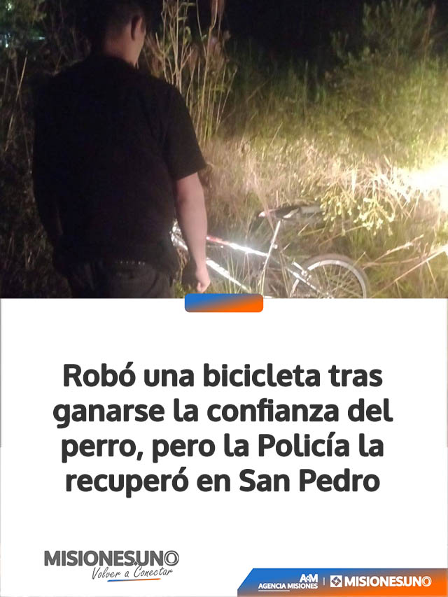 Robó una bicicleta tras ganarse la confianza del perro, pero la Policía la recuperó en San Pedro