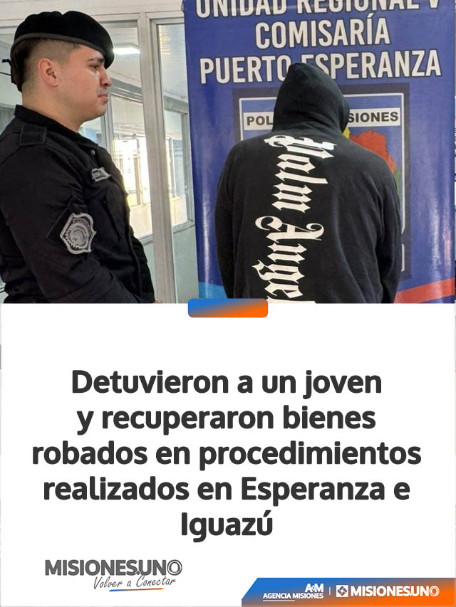 Detuvieron a un joven y recuperaron bienes robados en procedimientos realizados en Esperanza e Iguazú