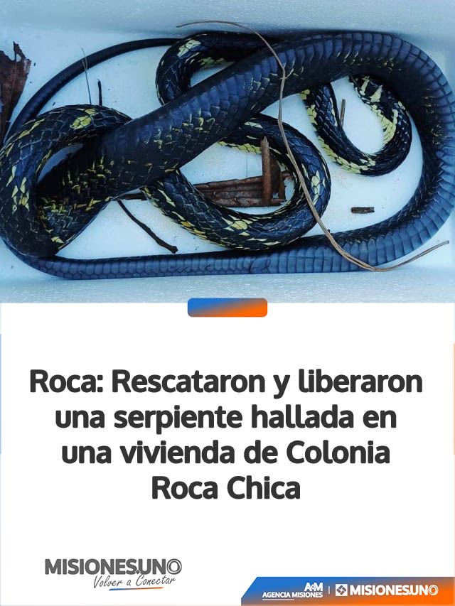 Roca: Rescataron y liberaron una serpiente hallada en una vivienda de Colonia Roca Chica