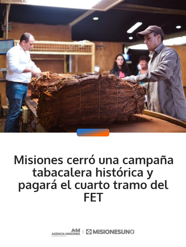 Misiones cerró una campaña tabacalera histórica y pagará el cuarto tramo del FET